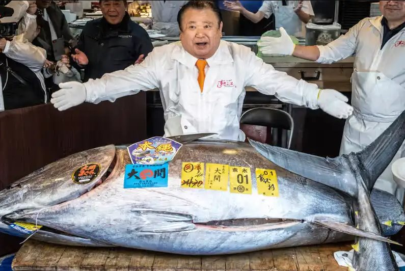 Cận cảnh con c&aacute; ngừ gi&aacute; 83 tỷ đồng: Khi c&aacute;c đại gia Nhật Bản "so găng" từng đồng lẻ- Ảnh 3.