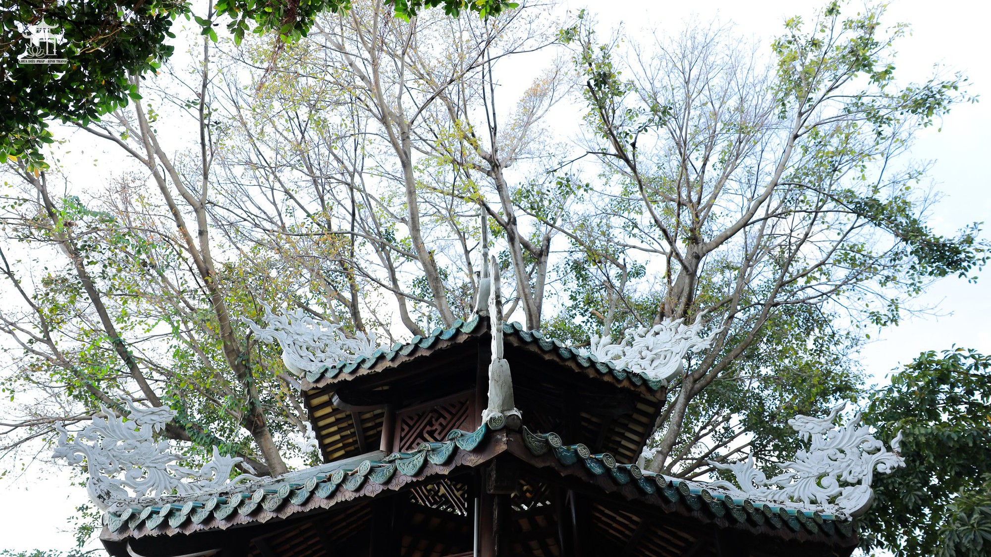 10 địa điểm chụp ảnh Tết miễn ph&iacute; đang g&acirc;y b&atilde;o tại TP.HCM, vừa cổ k&iacute;nh lại đẹp tựa phim trường- Ảnh 14.