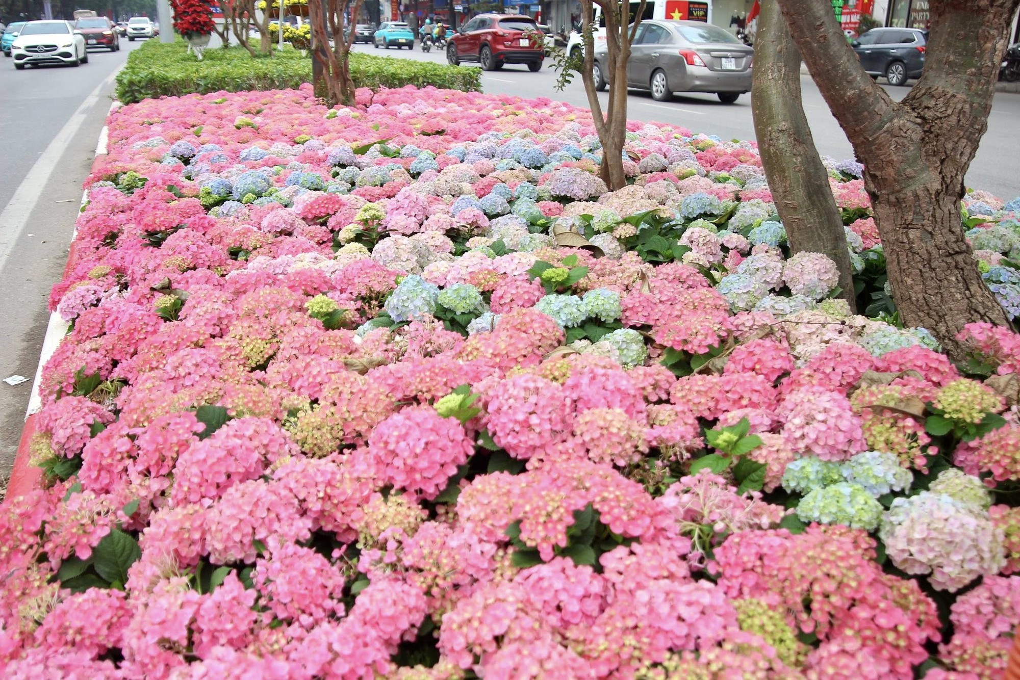 Đoạn đường Trần Duy Hưng, Hà Nội gây chú ý- Ảnh 4. Đoạn đường Trần Duy Hưng, Hà Nội gây chú ý- Ảnh 4.