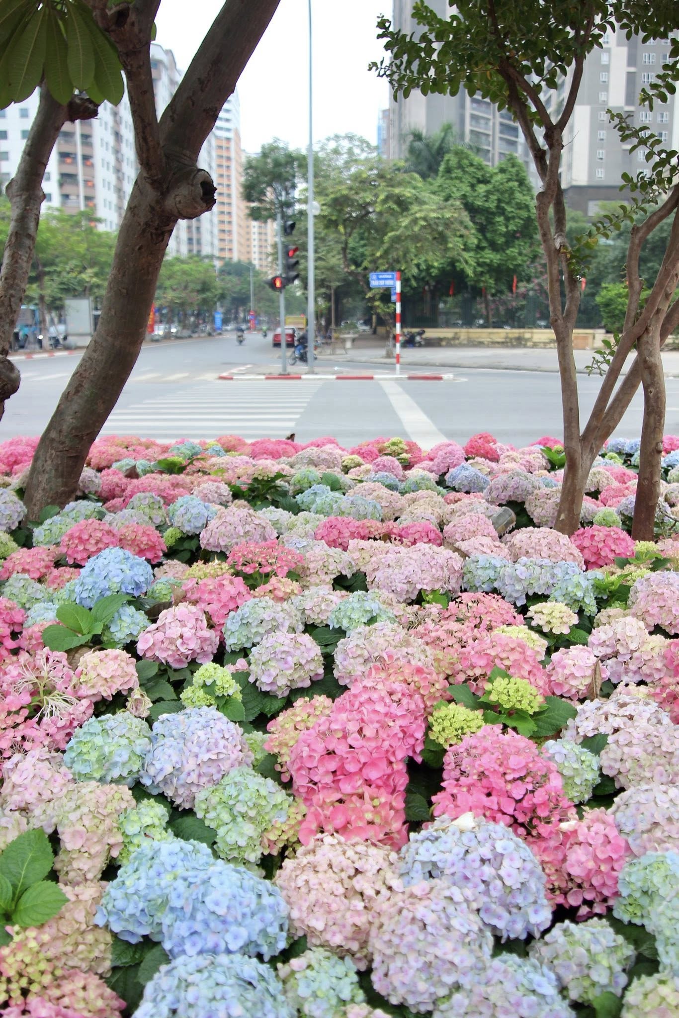 Đoạn đường Trần Duy Hưng, Hà Nội gây chú ý- Ảnh 5. Đoạn đường Trần Duy Hưng, Hà Nội gây chú ý- Ảnh 5.