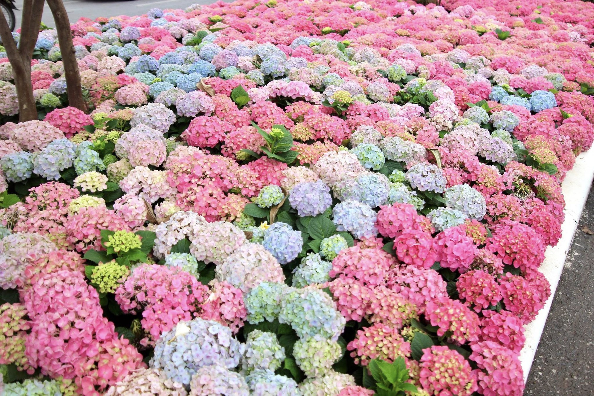 Đoạn đường Trần Duy Hưng, Hà Nội gây chú ý- Ảnh 2. Đoạn đường Trần Duy Hưng, Hà Nội gây chú ý- Ảnh 2.