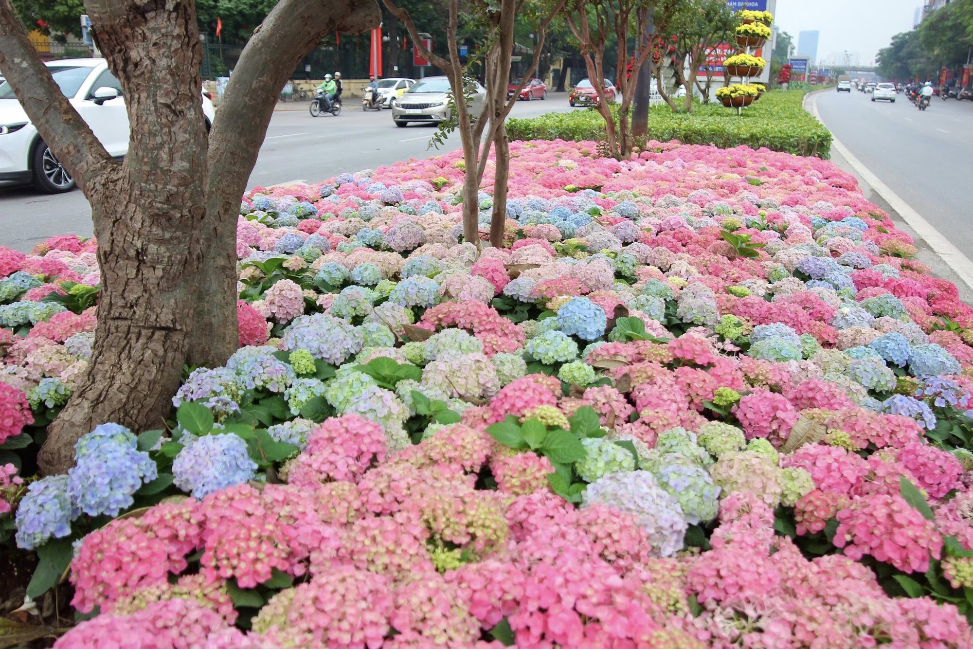 Đoạn đường Trần Duy Hưng, Hà Nội gây chú ý- Ảnh 3. Đoạn đường Trần Duy Hưng, Hà Nội gây chú ý- Ảnh 3.