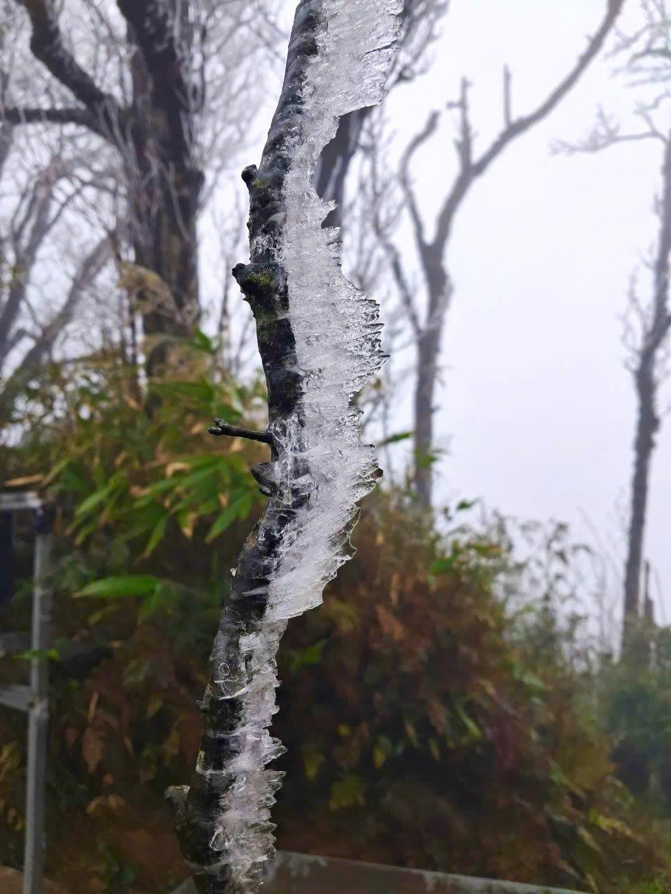 Xuất hiện băng gi&aacute; tr&ecirc;n đỉnh n&uacute;i ở Cao Bằng- Ảnh 7.