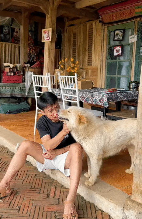 30 tuổi, rời H&agrave; Nội sau 10 năm sinh sống, l&ecirc;n n&uacute;i l&agrave;m vườn, dựng nh&agrave; sống chill: Chi ph&iacute; sinh hoạt c&ograve;n 1/3 nhưng c&aacute;i gi&aacute; t&ocirc;i phải trả cũng kh&ocirc;ng hề đơn giản- Ảnh 4.