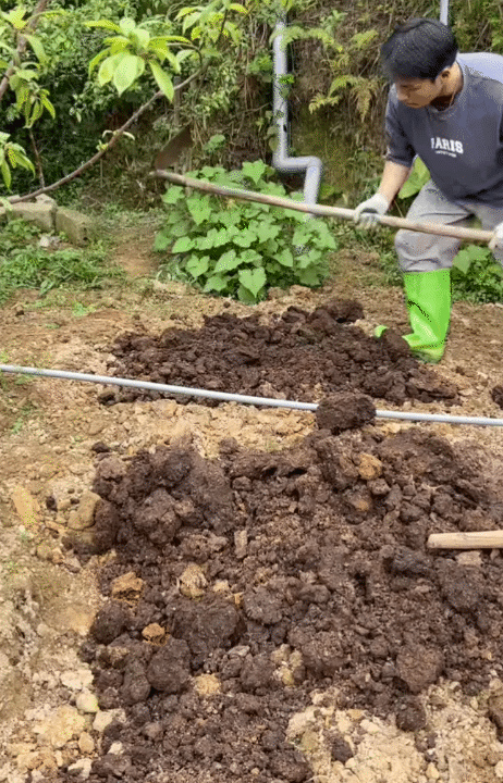 30 tuổi, rời H&agrave; Nội sau 10 năm sinh sống, l&ecirc;n n&uacute;i l&agrave;m vườn, dựng nh&agrave; sống chill: Chi ph&iacute; sinh hoạt c&ograve;n 1/3 nhưng c&aacute;i gi&aacute; t&ocirc;i phải trả cũng kh&ocirc;ng hề đơn giản- Ảnh 6.