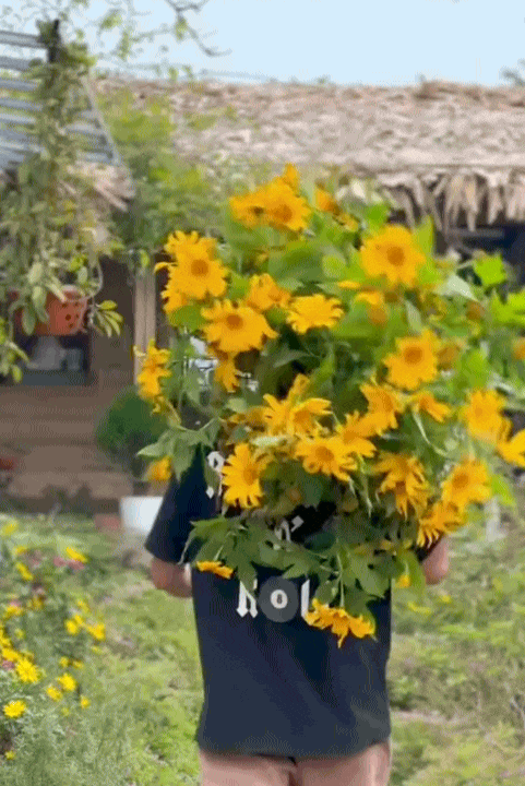 30 tuổi, rời H&agrave; Nội sau 10 năm sinh sống, l&ecirc;n n&uacute;i l&agrave;m vườn, dựng nh&agrave; sống chill: Chi ph&iacute; sinh hoạt c&ograve;n 1/3 nhưng c&aacute;i gi&aacute; t&ocirc;i phải trả cũng kh&ocirc;ng hề đơn giản- Ảnh 3.