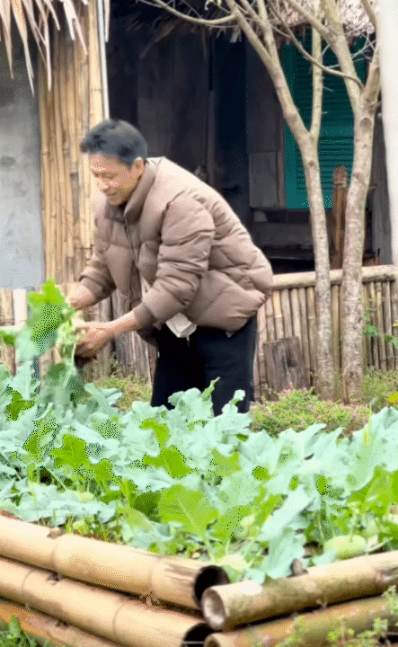 30 tuổi, rời H&agrave; Nội sau 10 năm sinh sống, l&ecirc;n n&uacute;i l&agrave;m vườn, dựng nh&agrave; sống chill: Chi ph&iacute; sinh hoạt c&ograve;n 1/3 nhưng c&aacute;i gi&aacute; t&ocirc;i phải trả cũng kh&ocirc;ng hề đơn giản- Ảnh 19.