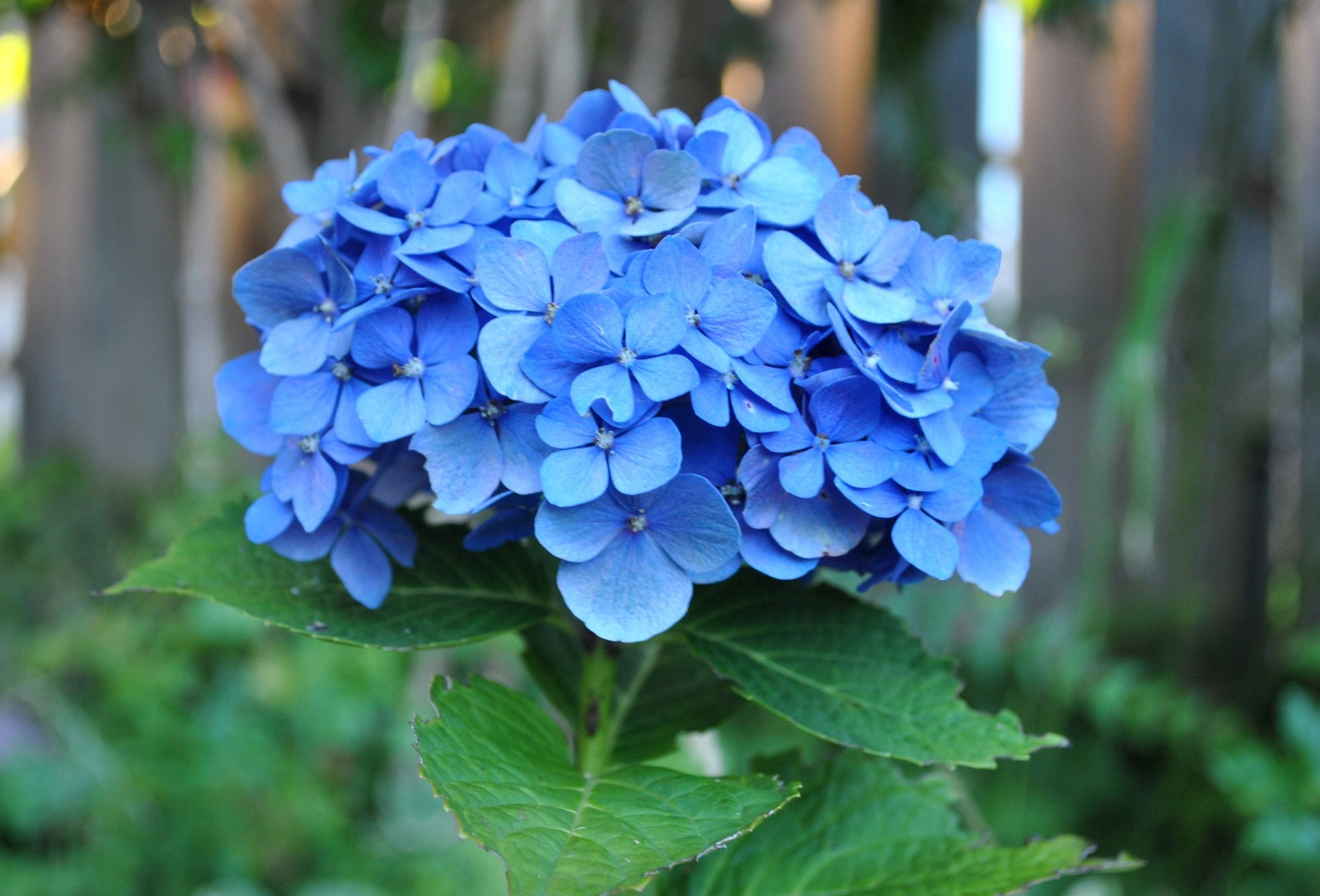 Đoạn đường Trần Duy Hưng, Hà Nội gây chú ý- Ảnh 7. Đoạn đường Trần Duy Hưng, Hà Nội gây chú ý- Ảnh 7.