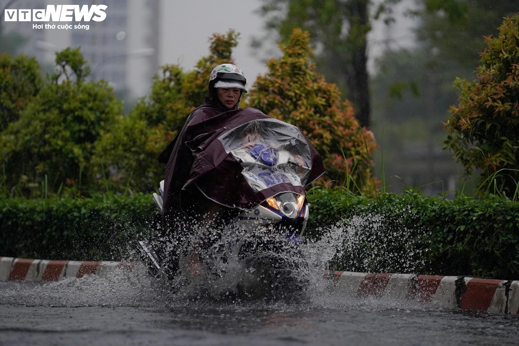 Mưa d&ocirc;ng tr&aacute;i m&ugrave;a, nhiều tuyến đường ở TP.HCM ngập s&acirc;u- Ảnh 5.