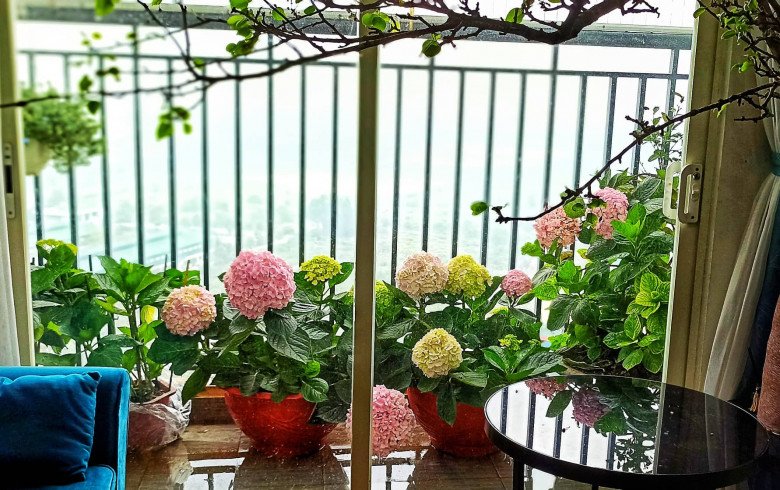 Đoạn đường Trần Duy Hưng, Hà Nội gây chú ý- Ảnh 9. Đoạn đường Trần Duy Hưng, Hà Nội gây chú ý- Ảnh 9.