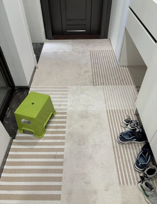 Ng&agrave;y c&agrave;ng nhiều người từ biệt thảm ch&ugrave;i ch&acirc;n trước cửa, kh&ocirc;ng phải tiết kiệm m&agrave; v&igrave; qu&aacute; phiền- Ảnh 2.