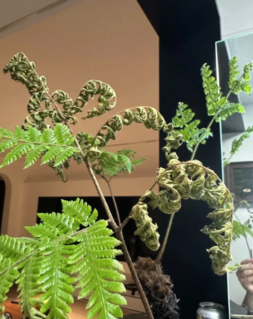 Bu&ocirc;ng bỏ l&agrave; thượng s&aacute;ch: T&ocirc;i da diết khuy&ecirc;n bạn thẳng tay vứt 8 m&oacute;n 