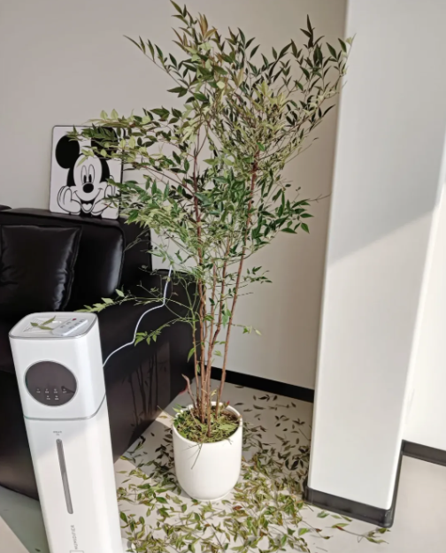 Bu&ocirc;ng bỏ l&agrave; thượng s&aacute;ch: T&ocirc;i da diết khuy&ecirc;n bạn thẳng tay vứt 8 m&oacute;n 