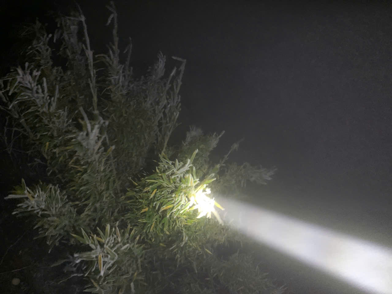 Sáng nay, 1 nơi ở Việt Nam chỉ còn -3 độ C, cảnh tượng gây choáng bao trùm- Ảnh 2. Sáng nay, 1 nơi ở Việt Nam chỉ còn -3 độ C, cảnh tượng gây choáng bao trùm- Ảnh 2.