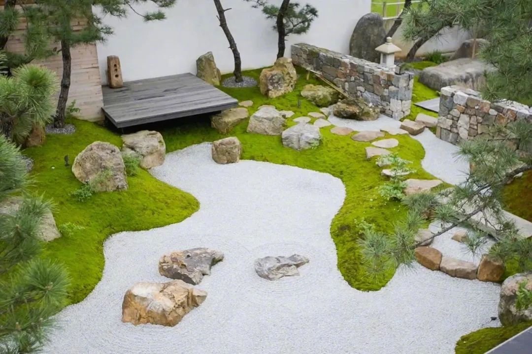 300m² đất thuê, 30 năm chỉ trồng 2 loại cây: Một bài toán “giữ tiền” ngược đời của đôi vợ chồng trung niên- Ảnh 15. 300m² đất thuê, 30 năm chỉ trồng 2 loại cây: Một bài toán “giữ tiền” ngược đời của đôi vợ chồng trung niên- Ảnh 15.