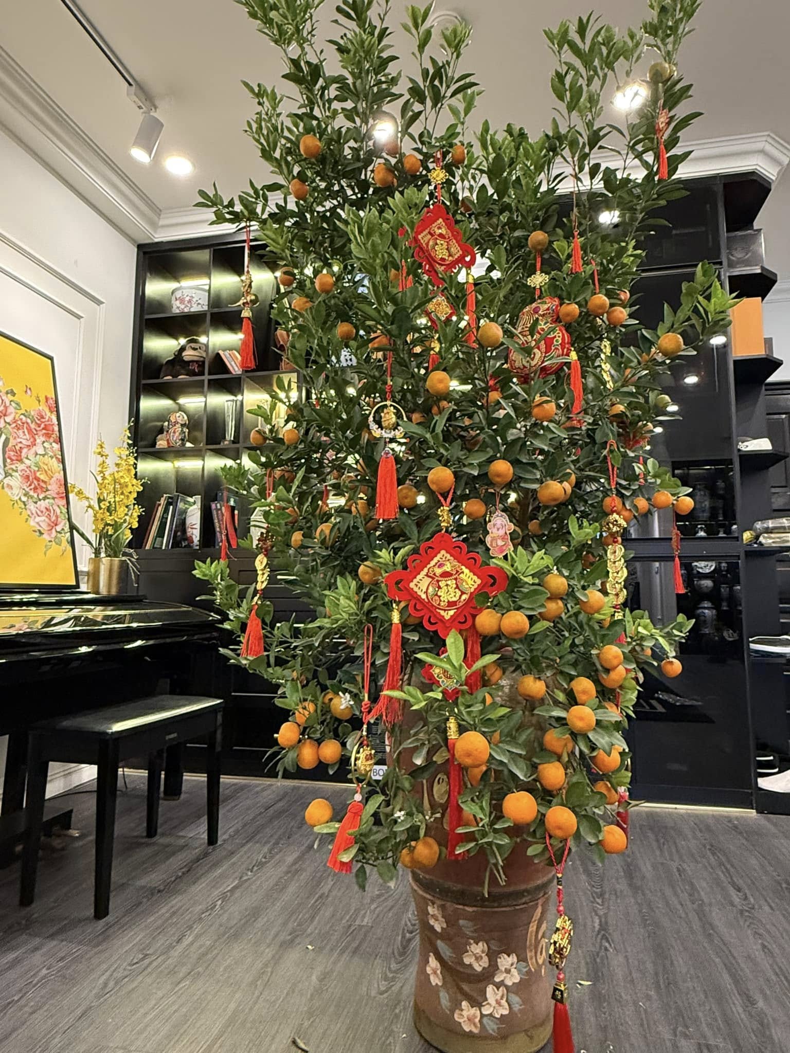 &ldquo;Thi&ecirc;n L&ocirc;i xấu nhất T&aacute;o Qu&acirc;n&rdquo; sống trong căn hộ cao cấp 200m2, mặt thật ở tuổi 45 g&acirc;y cho&aacute;ng- Ảnh 6.