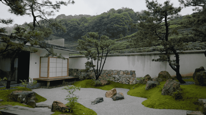 300m² đất thuê, 30 năm chỉ trồng 2 loại cây: Một bài toán “giữ tiền” ngược đời của đôi vợ chồng trung niên- Ảnh 19. 300m² đất thuê, 30 năm chỉ trồng 2 loại cây: Một bài toán “giữ tiền” ngược đời của đôi vợ chồng trung niên- Ảnh 19.