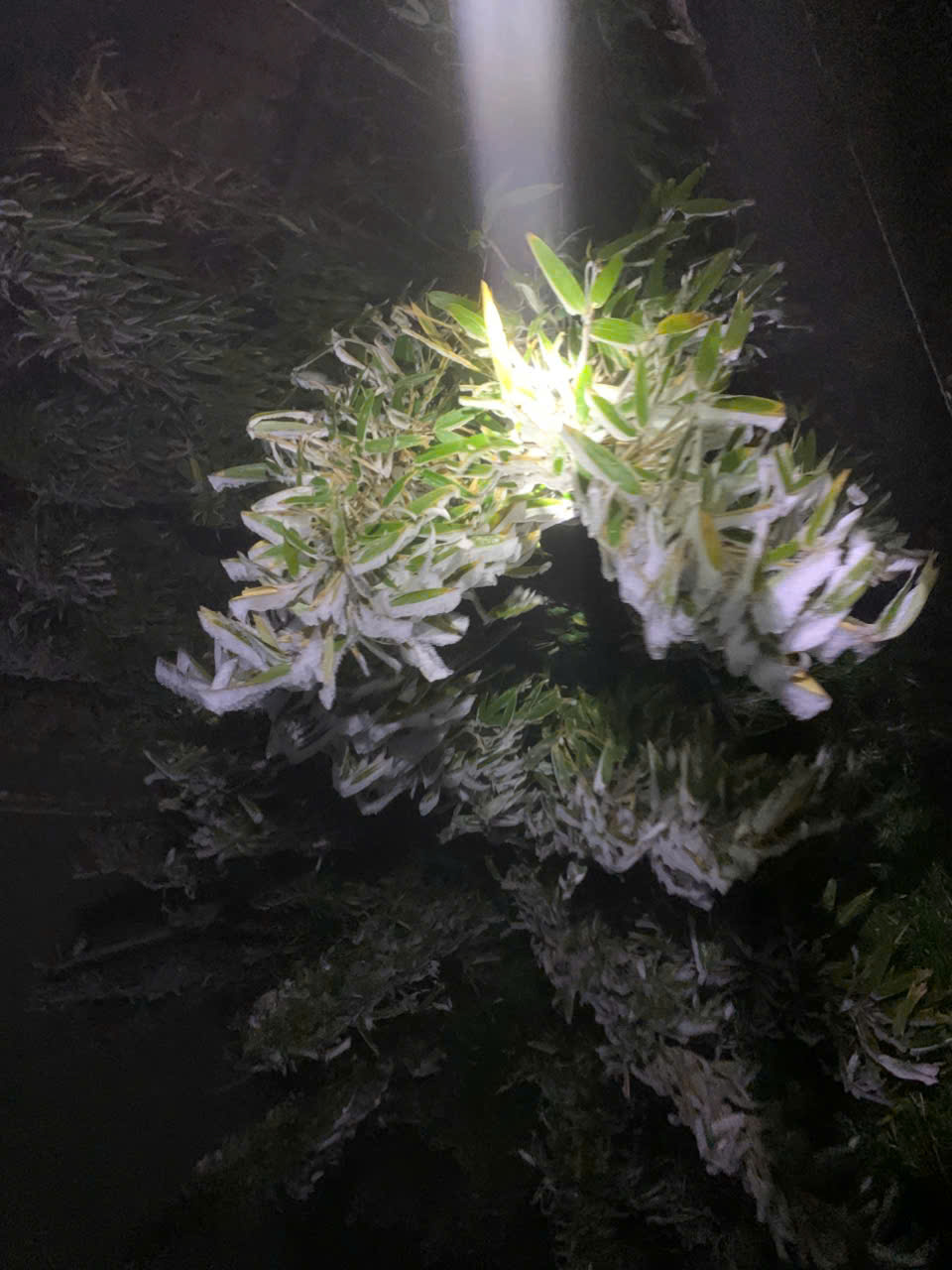 Sáng nay, 1 nơi ở Việt Nam chỉ còn -3 độ C, cảnh tượng gây choáng bao trùm- Ảnh 6. Sáng nay, 1 nơi ở Việt Nam chỉ còn -3 độ C, cảnh tượng gây choáng bao trùm- Ảnh 6.