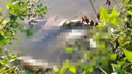 Khởi tố bị can s&aacute;t hại b&eacute; g&aacute;i 13 tuổi ở C&agrave; Mau- Ảnh 1.