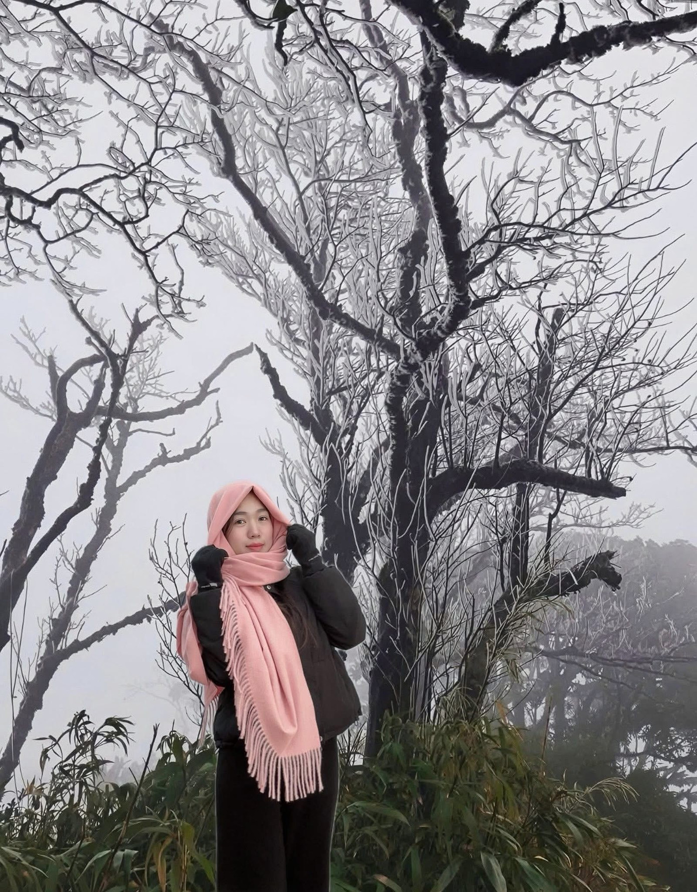 Ngo&agrave;i Fansipan, Mẫu Sơn, nơi n&agrave;y cũng c&oacute; băng gi&aacute; d&agrave;y đặc: Độ cao gần 2000m, c&aacute;ch H&agrave; Nội hơn 200km- Ảnh 9.