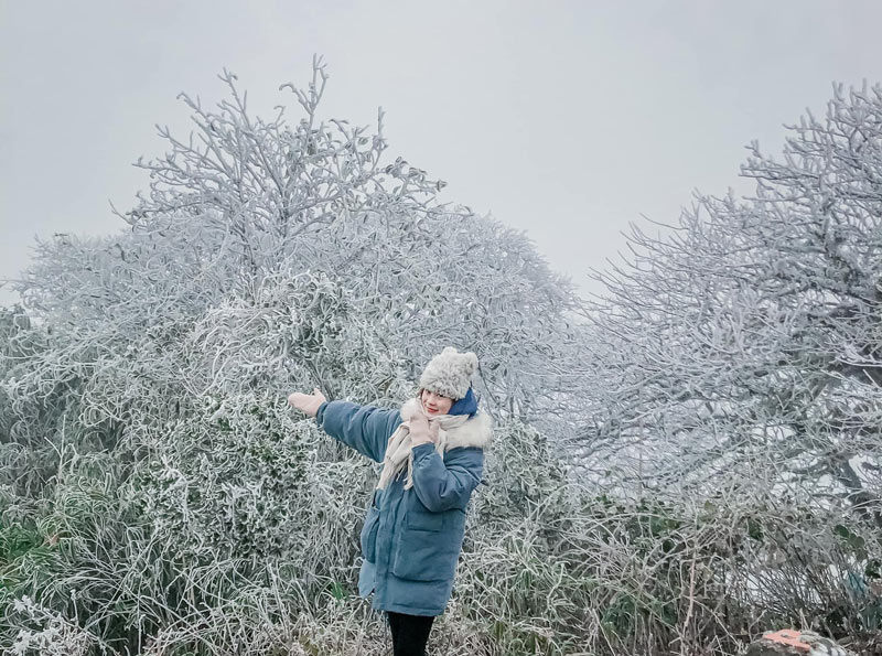 Ngo&agrave;i Fansipan, Mẫu Sơn, nơi n&agrave;y cũng c&oacute; băng gi&aacute; d&agrave;y đặc: Độ cao gần 2000m, c&aacute;ch H&agrave; Nội hơn 200km- Ảnh 7.