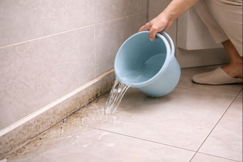 Mẹ tôi truyền bí quyết: Dội nước vào góc nhà này mỗi tuần - muỗi, kiến giảm hẳn mà không cần thuốc- Ảnh 2. Mẹ tôi truyền bí quyết: Dội nước vào góc nhà này mỗi tuần - muỗi, kiến giảm hẳn mà không cần thuốc- Ảnh 2.