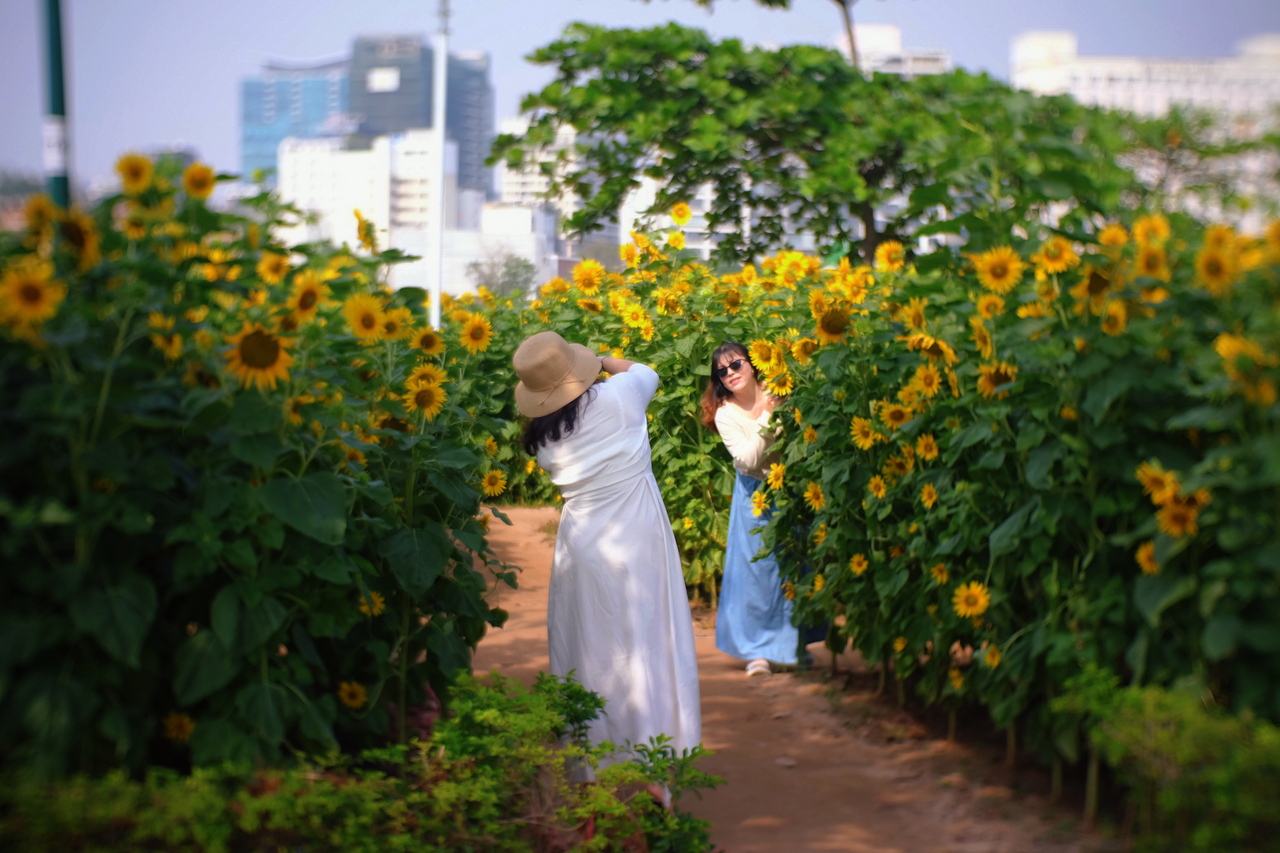 Những điểm check-in "ng&agrave;n hoa" h&uacute;t kh&aacute;ch ở TP Hồ Ch&iacute; Minh- Ảnh 8.