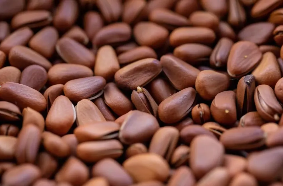 Top 10 thực phẩm 