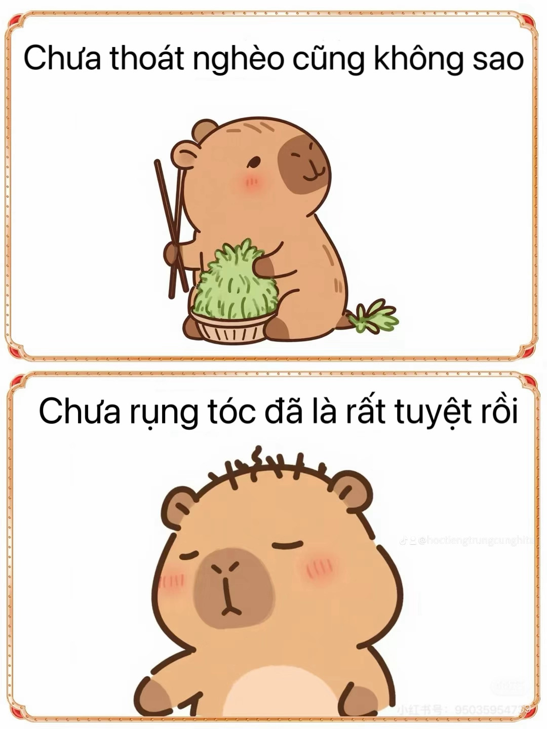 &ldquo;Kh&ocirc;ng PH&Aacute;T T&Agrave;I cũng kh&ocirc;ng sao, kh&ocirc;ng PH&Aacute;T ĐI&Ecirc;N l&agrave; may rồi&rdquo;- Ảnh 7.