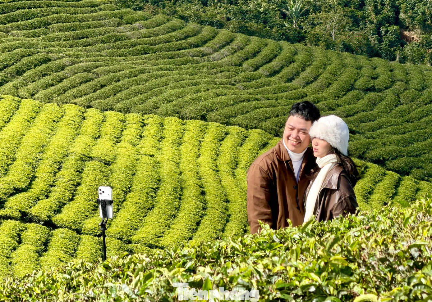 Giới trẻ nườm nượp check-in đồi ch&egrave; Cầu Đất- Ảnh 6.