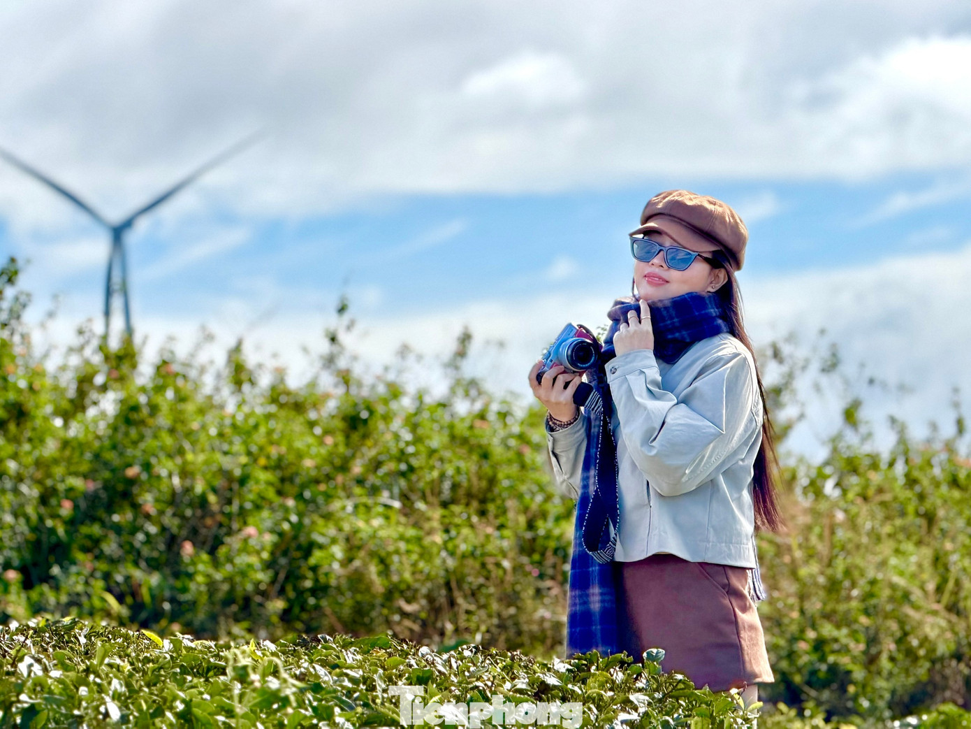 Giới trẻ nườm nượp check-in đồi ch&egrave; Cầu Đất- Ảnh 5.