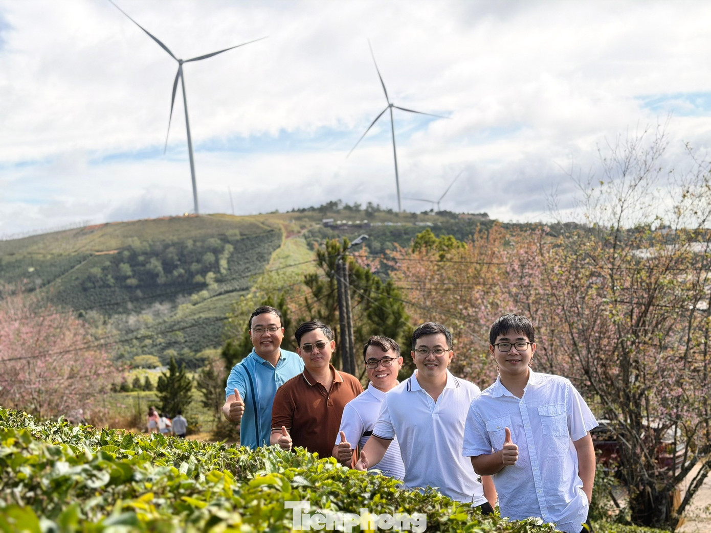 Giới trẻ nườm nượp check-in đồi ch&egrave; Cầu Đất- Ảnh 10.