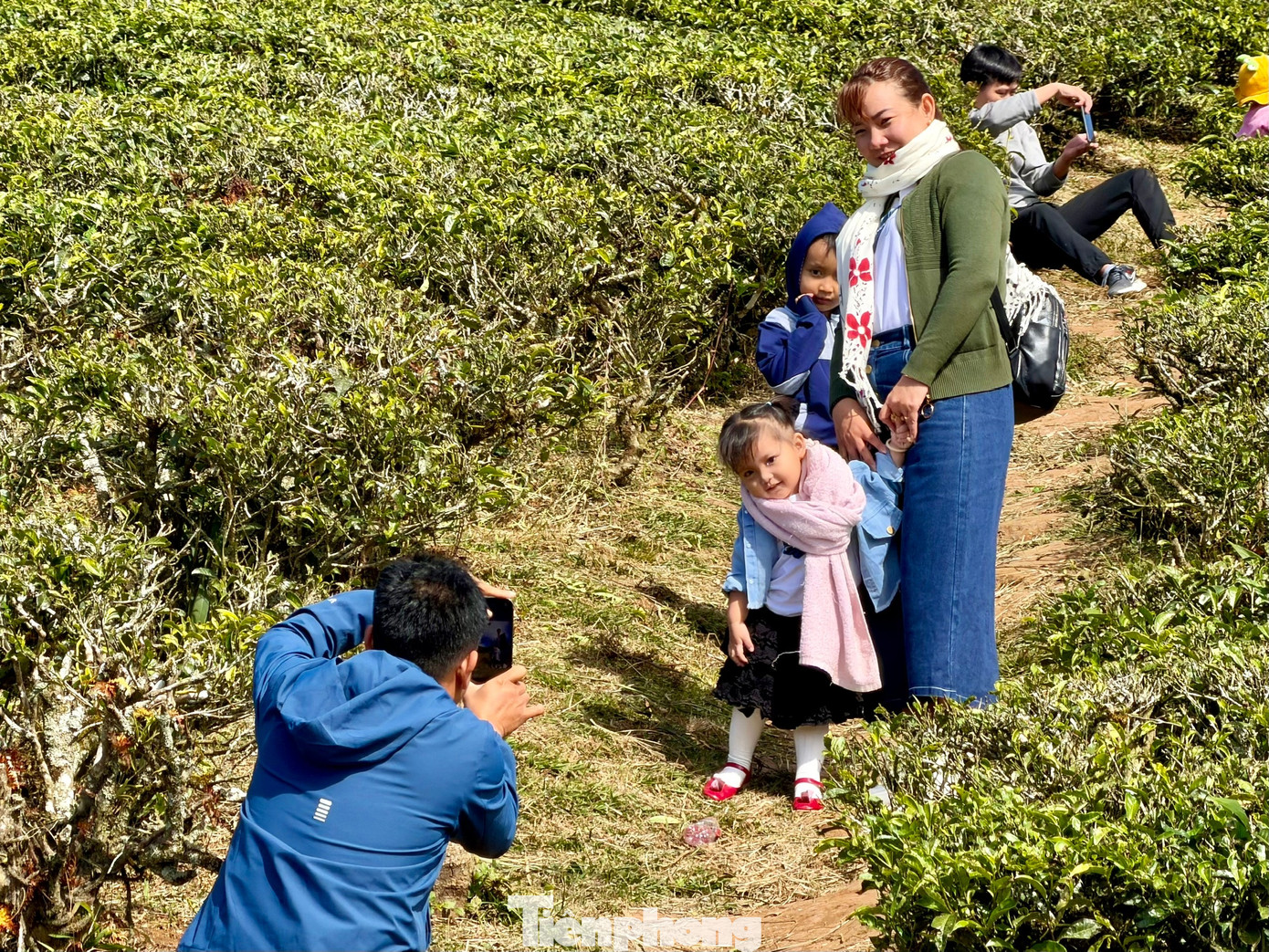 Giới trẻ nườm nượp check-in đồi ch&egrave; Cầu Đất- Ảnh 7.