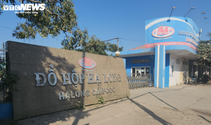 130 tấn thịt lợn bệnh được 'ph&ugrave; ph&eacute;p' l&agrave;m thịt hộp: Tỉnh Quảng Ninh l&ecirc;n tiếng- Ảnh 3.