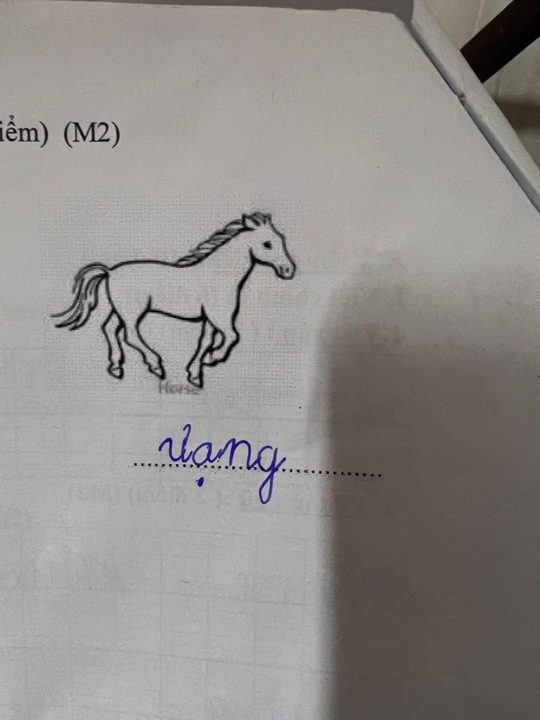 "Đến Thượng Đế cũng phải cười" với học sinh tiểu học!- Ảnh 5.