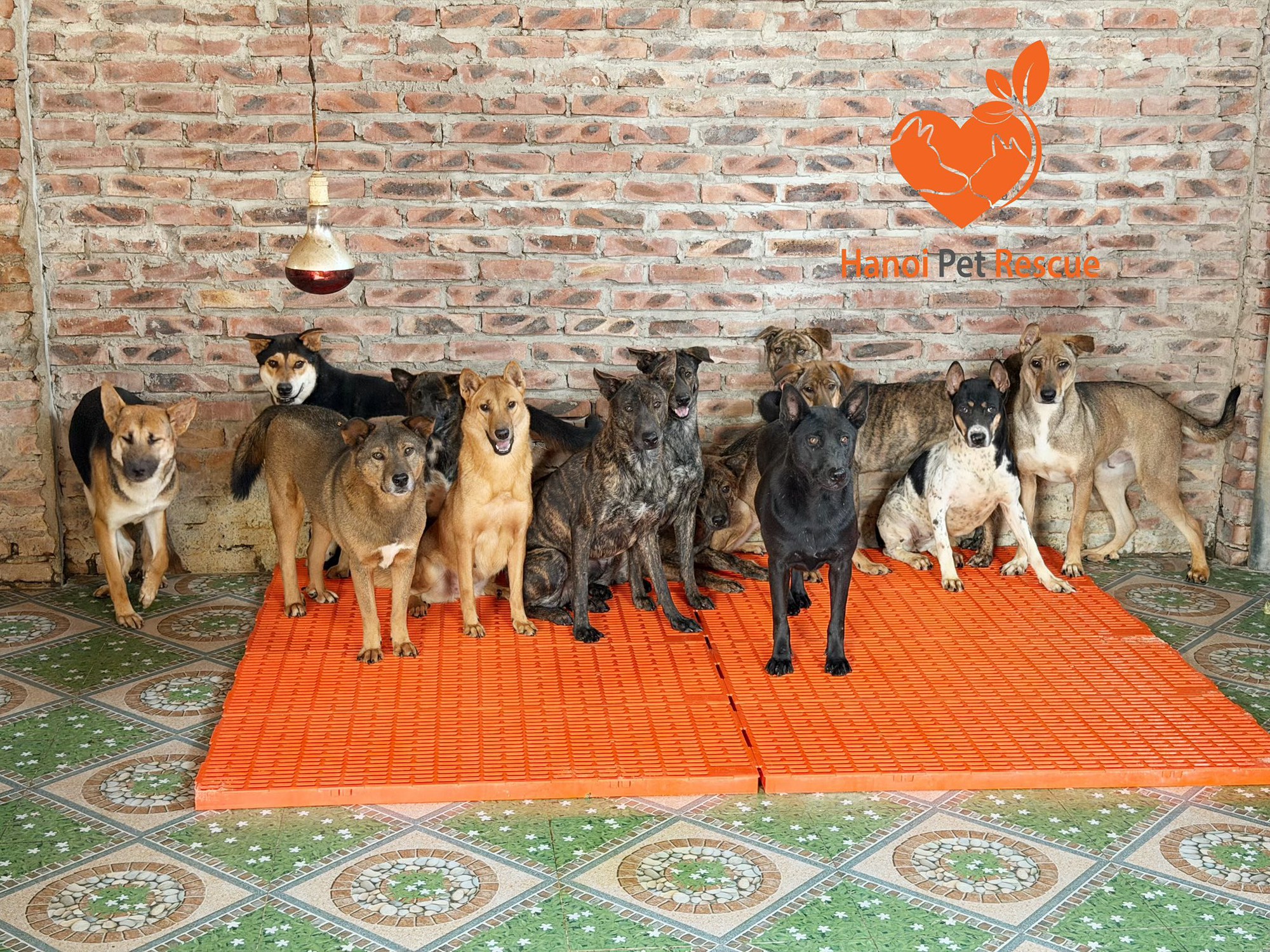 Bước sang 2025, những biệt đội Gen Z bước ra từ WeChoice vẫn bền bỉ viết tiếp những điều phi thường- Ảnh 2. Bước sang 2025, những biệt đội Gen Z bước ra từ WeChoice vẫn bền bỉ viết tiếp những điều phi thường- Ảnh 2.