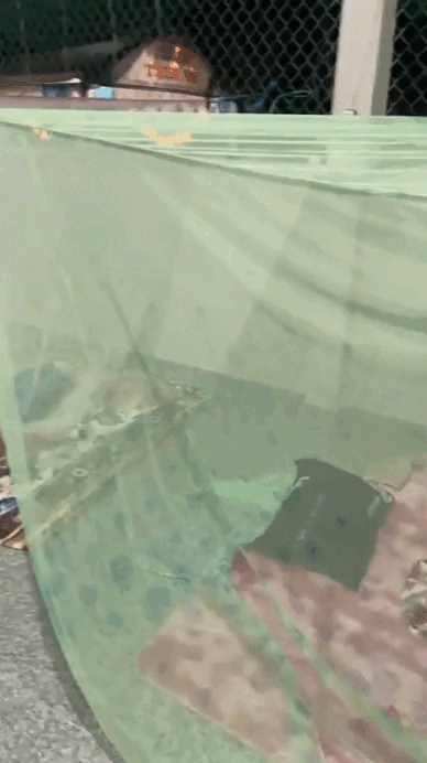 C&aacute;ch người miền T&acirc;y ngủ- Ảnh 4.