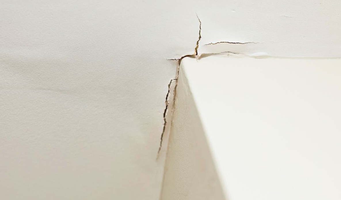 Mẹo đơn giản giúp ngăn chuột vào nhà mùa đông mà không cần tới bả- Ảnh 1. Mẹo đơn giản giúp ngăn chuột vào nhà mùa đông mà không cần tới bả- Ảnh 1.