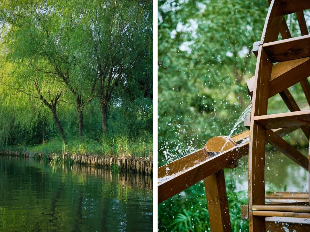 Vừa đi l&agrave;m, vừa l&agrave;m n&ocirc;ng: N&ocirc;ng trại 400 mẫu trở th&agrave;nh quyết định t&agrave;i ch&iacute;nh đ&uacute;ng của đ&ocirc;i vợ chồng trung ni&ecirc;n- Ảnh 17.