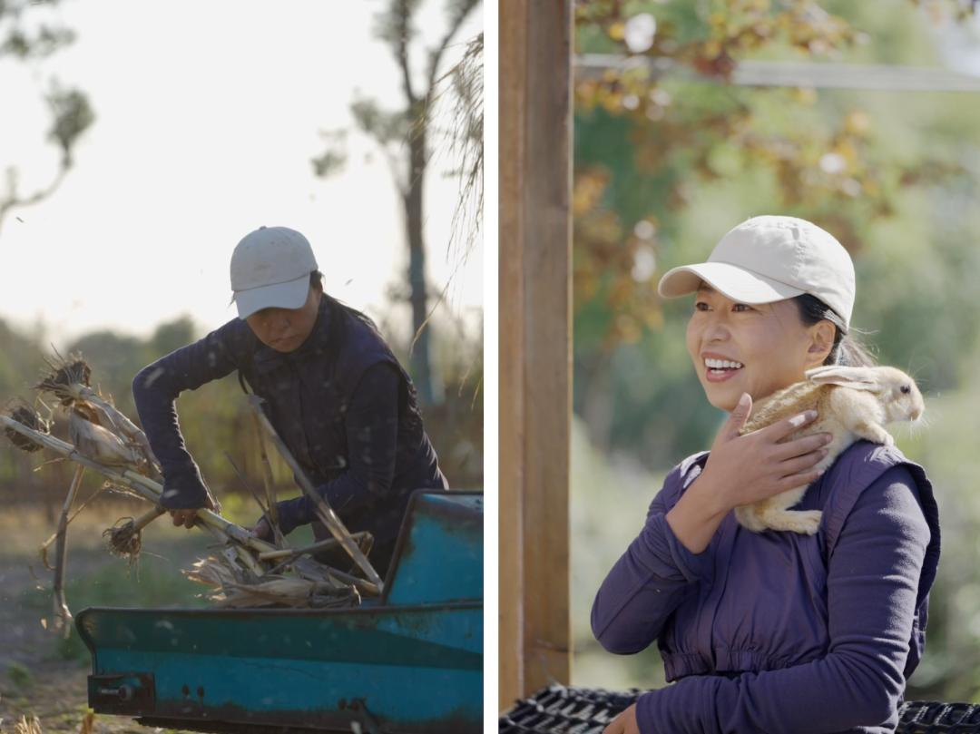 Vừa đi l&agrave;m, vừa l&agrave;m n&ocirc;ng: N&ocirc;ng trại 400 mẫu trở th&agrave;nh quyết định t&agrave;i ch&iacute;nh đ&uacute;ng của đ&ocirc;i vợ chồng trung ni&ecirc;n- Ảnh 15.