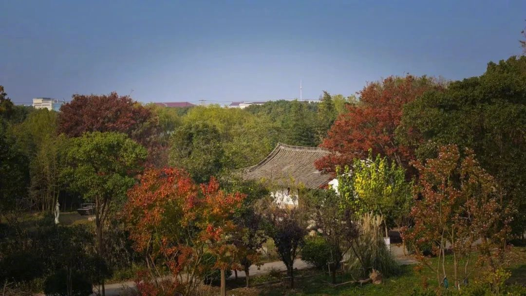 Vừa đi l&agrave;m, vừa l&agrave;m n&ocirc;ng: N&ocirc;ng trại 400 mẫu trở th&agrave;nh quyết định t&agrave;i ch&iacute;nh đ&uacute;ng của đ&ocirc;i vợ chồng trung ni&ecirc;n- Ảnh 19.