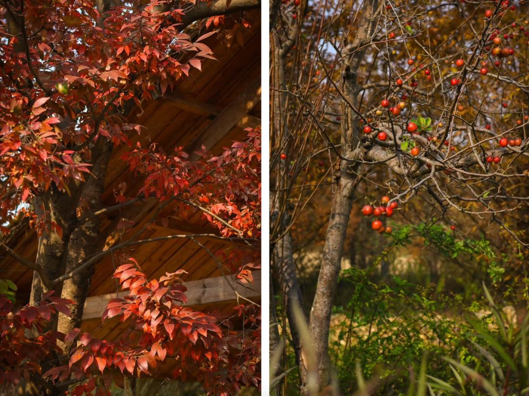 Vừa đi l&agrave;m, vừa l&agrave;m n&ocirc;ng: N&ocirc;ng trại 400 mẫu trở th&agrave;nh quyết định t&agrave;i ch&iacute;nh đ&uacute;ng của đ&ocirc;i vợ chồng trung ni&ecirc;n- Ảnh 18.