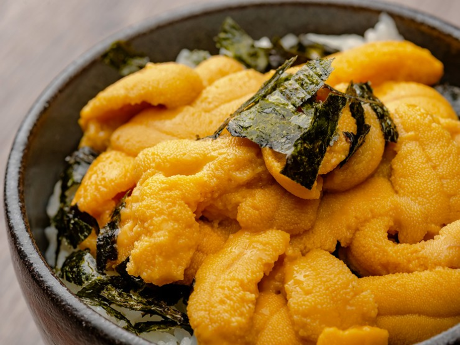 Sinh vật duy nhất trên Trái đất Sinh vật duy nhất trên Trái đất