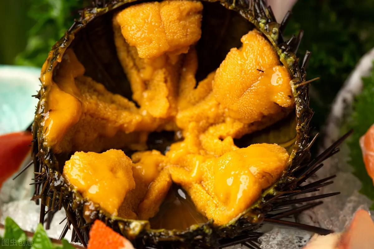 Sinh vật duy nhất trên Trái đất Sinh vật duy nhất trên Trái đất