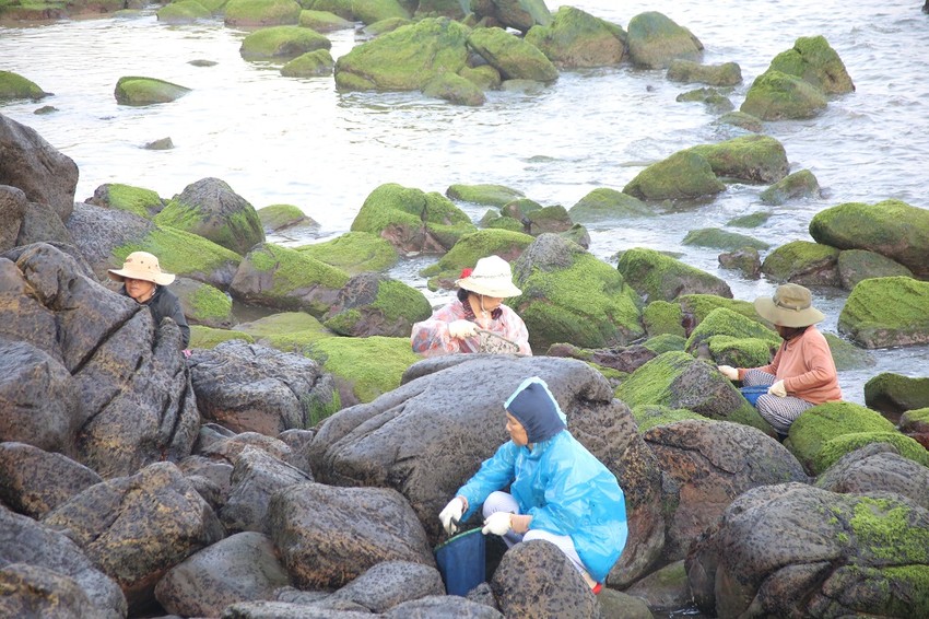 Đặc sản đen s&igrave; b&aacute;m chặt v&aacute;ch đ&aacute;: Thứ "lộc trời" gi&aacute; cả triệu đồng m&agrave; H&ograve;a Minzy cũng bất chấp s&oacute;ng đ&aacute;nh ướt sũng để h&aacute;i bằng được- Ảnh 5.