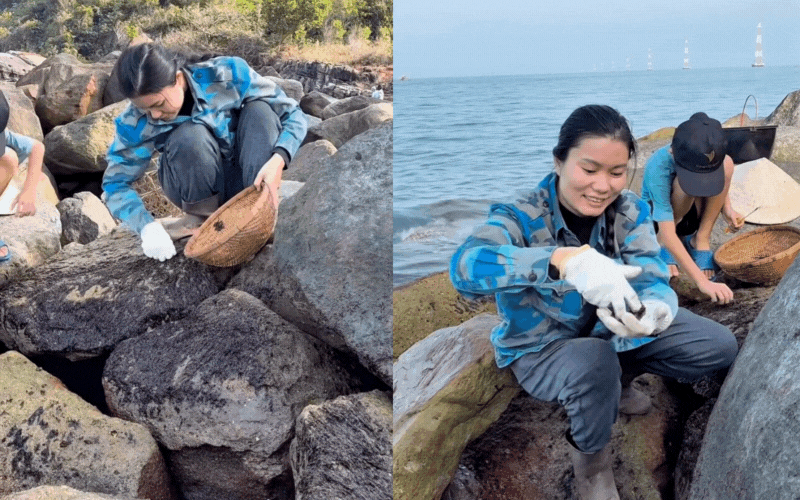 Đặc sản đen s&igrave; b&aacute;m chặt v&aacute;ch đ&aacute;: Thứ "lộc trời" gi&aacute; cả triệu đồng m&agrave; H&ograve;a Minzy cũng bất chấp s&oacute;ng đ&aacute;nh ướt sũng để h&aacute;i bằng được- Ảnh 3.