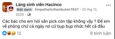 Cư d&acirc;n l&agrave;ng sinh vi&ecirc;n Hacinco &ldquo;k&ecirc;u cứu&rdquo; v&igrave; tiếng ồn Pickleball tra tấn ng&agrave;y đ&ecirc;m- Ảnh 6.