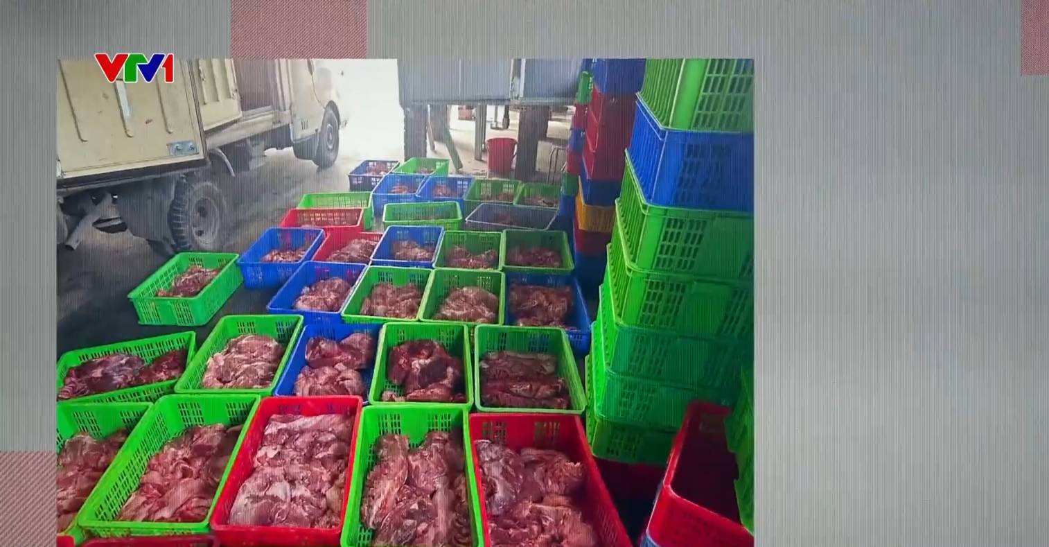Trước b&ecirc; bối &ldquo;ph&ugrave; ph&eacute;p&rdquo; 120 tấn thịt heo bệnh, hơn 100.000 hộp pate Cột đ&egrave;n Hải Ph&ograve;ng đ&atilde; được b&aacute;n ra tr&ecirc;n c&aacute;c s&agrave;n thương mại điện tử- Ảnh 1.