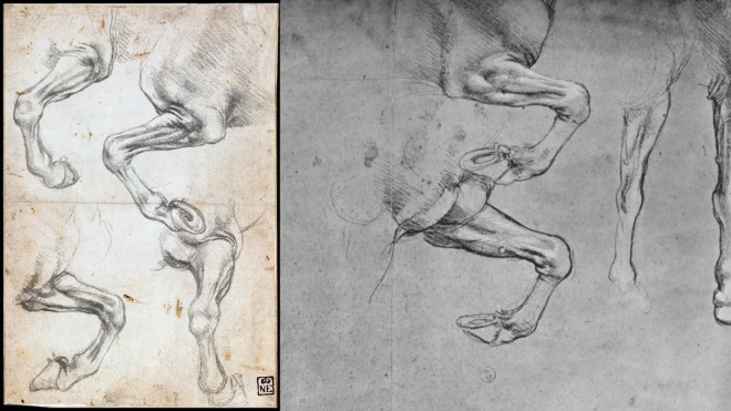 Ph&aacute;t hiện sốc về ADN của Leonardo da Vinci- Ảnh 2.