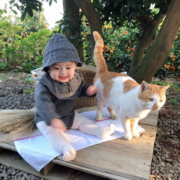 Theo quan niệm dân gian, người ta ngại 